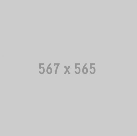 567x565 567x565